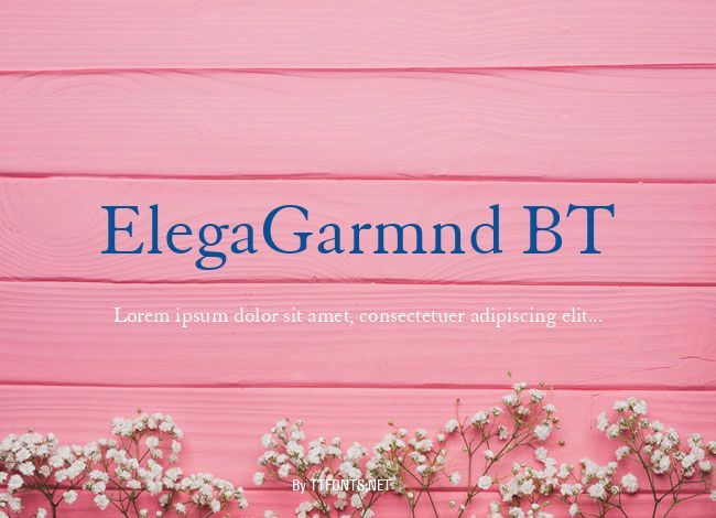 ElegaGarmnd BT example